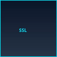 SSL银行级加密认证 - pg模拟器